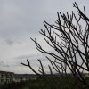 IMG_4228